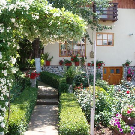 Cum separam plantele perene
